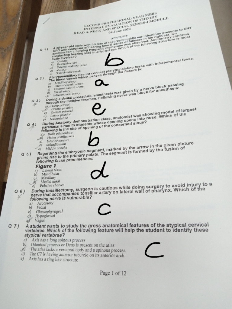 MBBS Year 2 ENT Internal Evaluation | PDF | Human Head And Neck ...