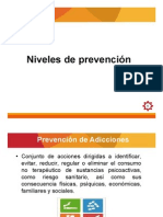 Niveles de Protección