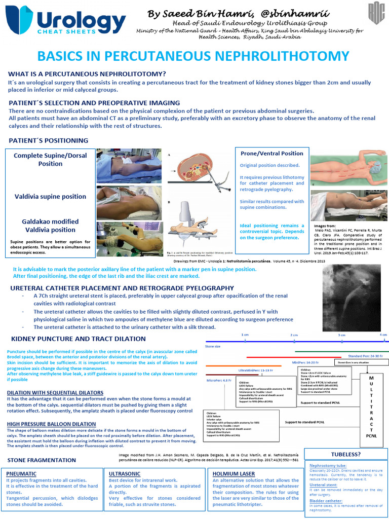 Basics of Percutaneous Nephrolithotomy | PDF | Clinical Medicine | Surgery