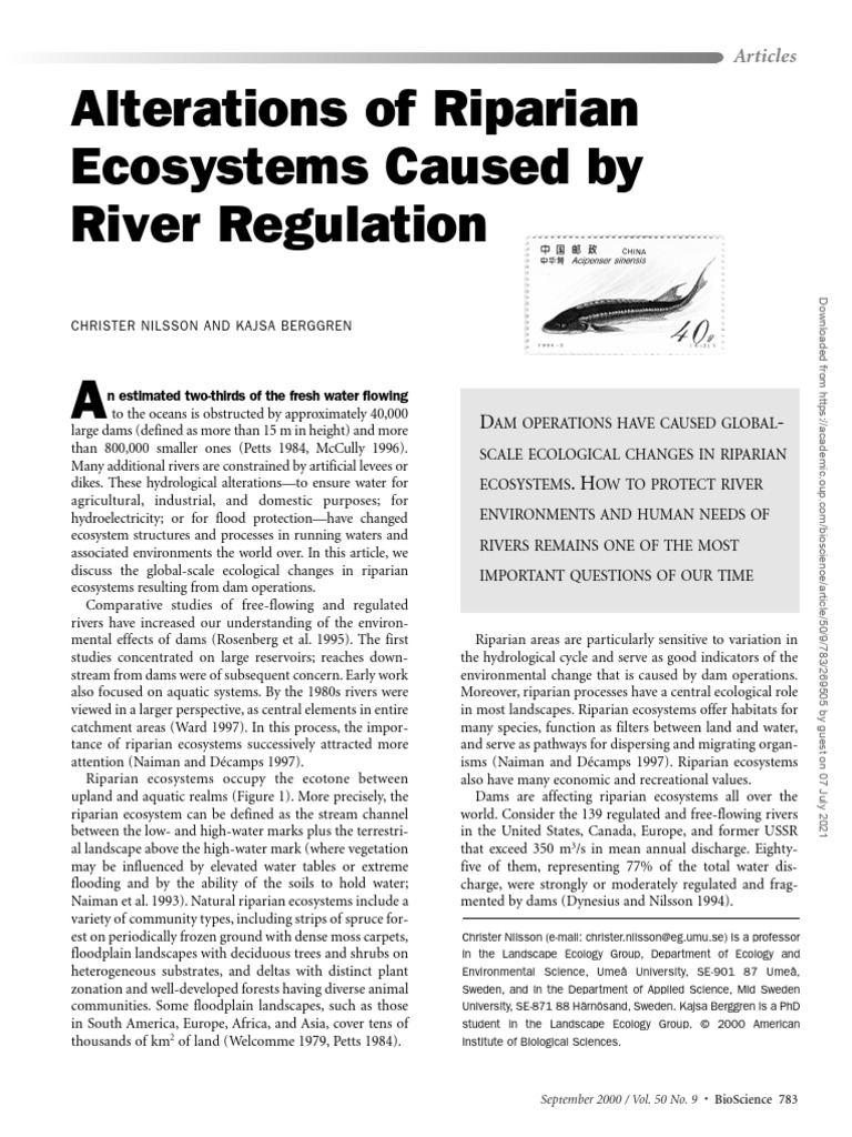 Dam Impacts On Riparian Ecosystems | PDF | River | Riparian Zone