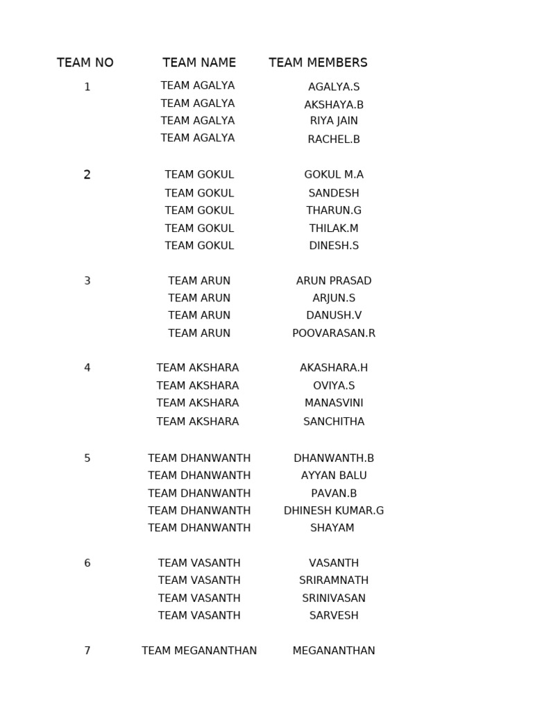 Team Roles and Activities Overview | PDF