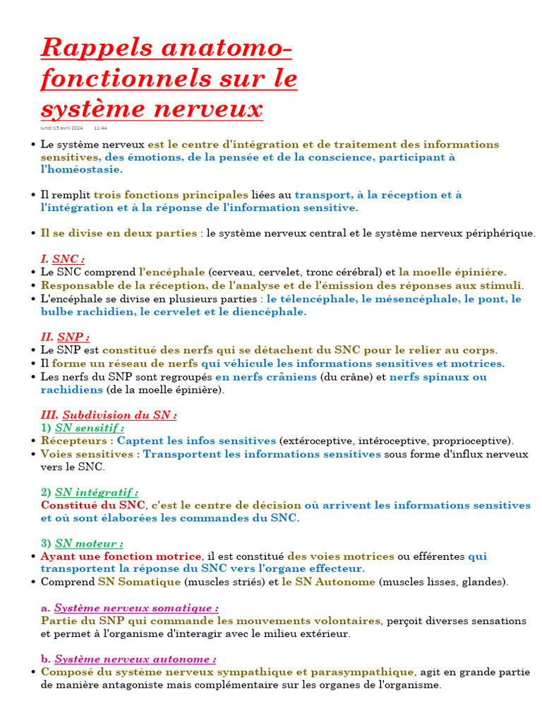 Rappels Anatomo-Fonctionnels Sur Le Système Nerveux | PDF | Système ...