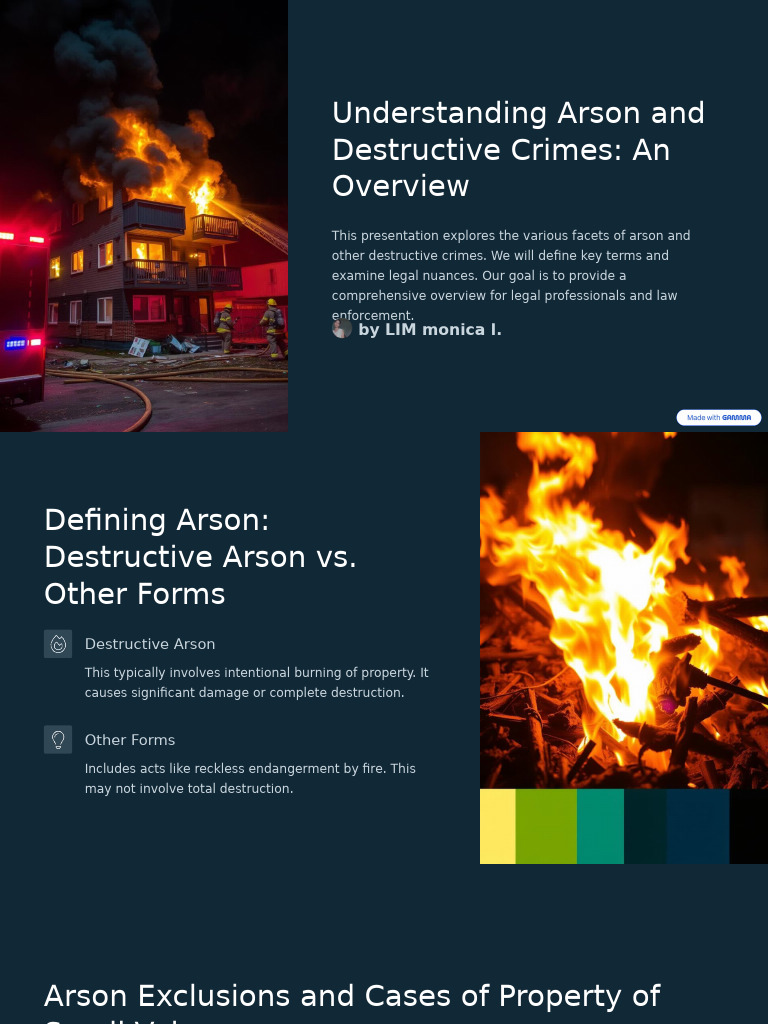 Understanding Arson and Destructive Crimes An Overview PDF Crime