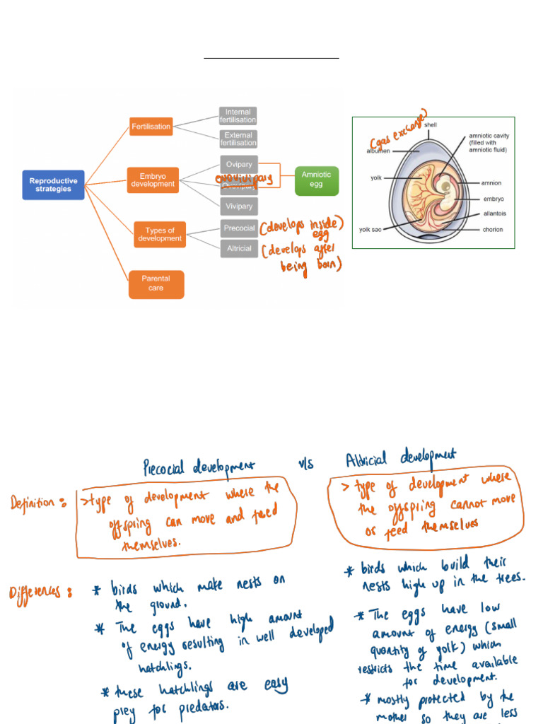 LIFE SCIENCES - Reproductive Strategies | PDF
