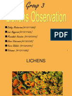 Presentation Lichens