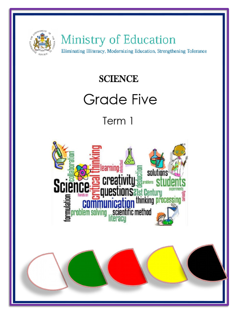 Grade 5 Science Term 1 Notes | PDF | Seed | Circulatory System
