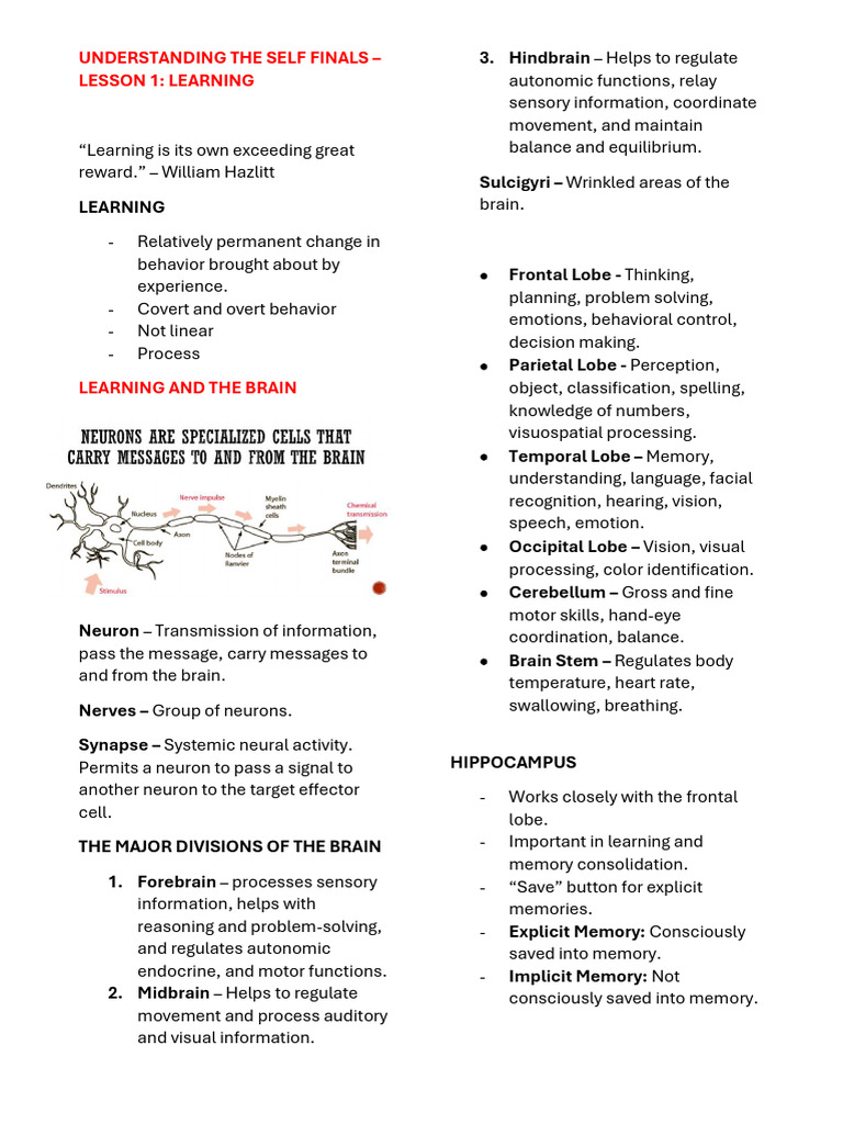 Understanding The Self Finals | PDF | Brain | Neuroplasticity