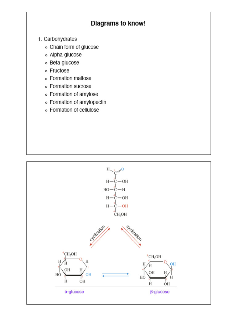 Essential Biochemical Diagrams and Tests | PDF | Fatty Acid | Triglyceride