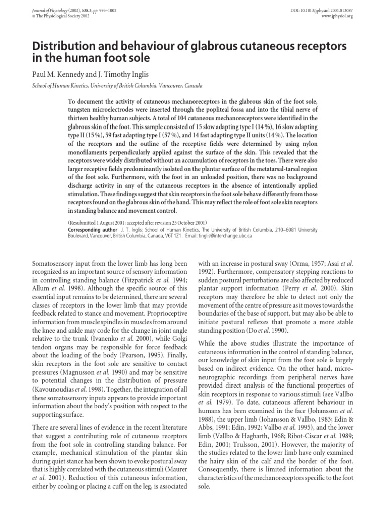 Foot Receptor Density and Balance Control | PDF | Somatosensory System ...