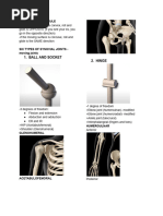 Joint Positions and Capsular Patterns | PDF | Anatomical Terms Of ...