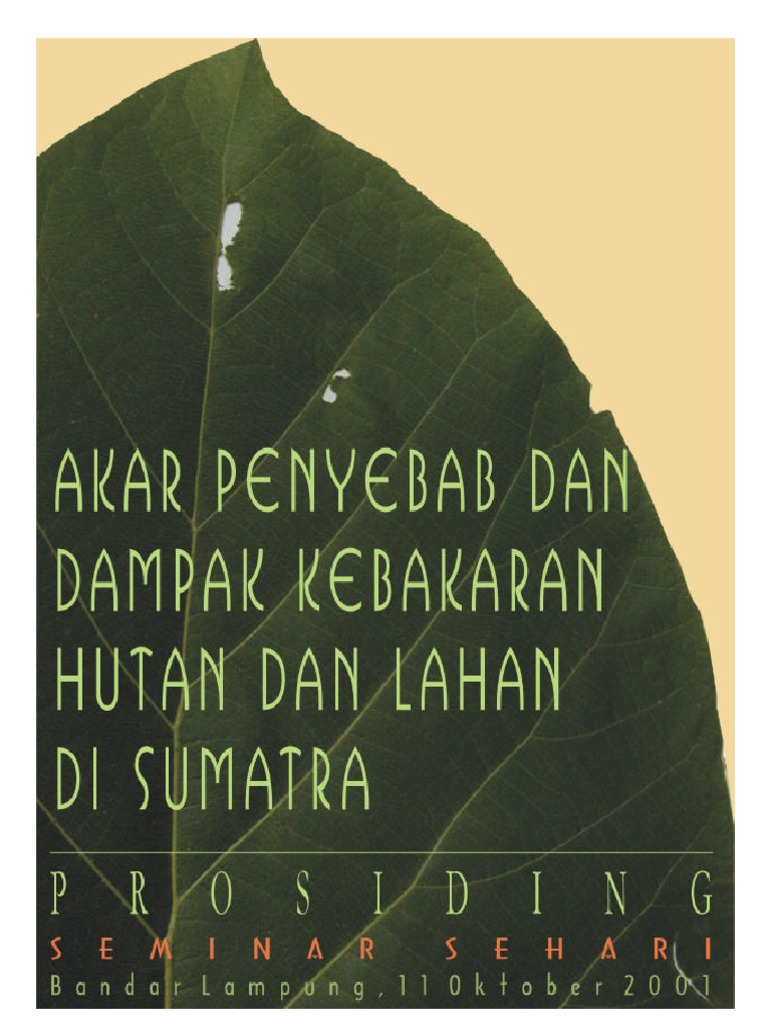 Akar Penyebab Kebakaran Lahan Di Indonesia 2001