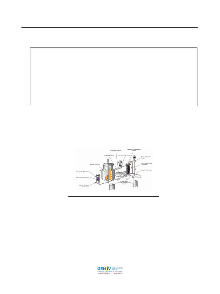 MSR R&D Infrastructure Needs Report | PDF | Nuclear Reactor | Nuclear Power