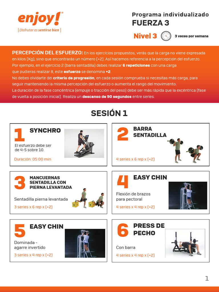 Programa Individualizado Fuerza 3 | PDF