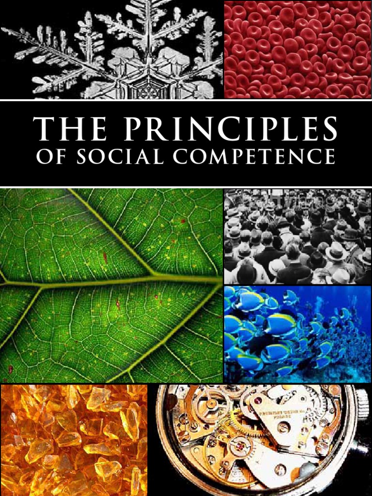 The Principles of Social Competence | PDF
