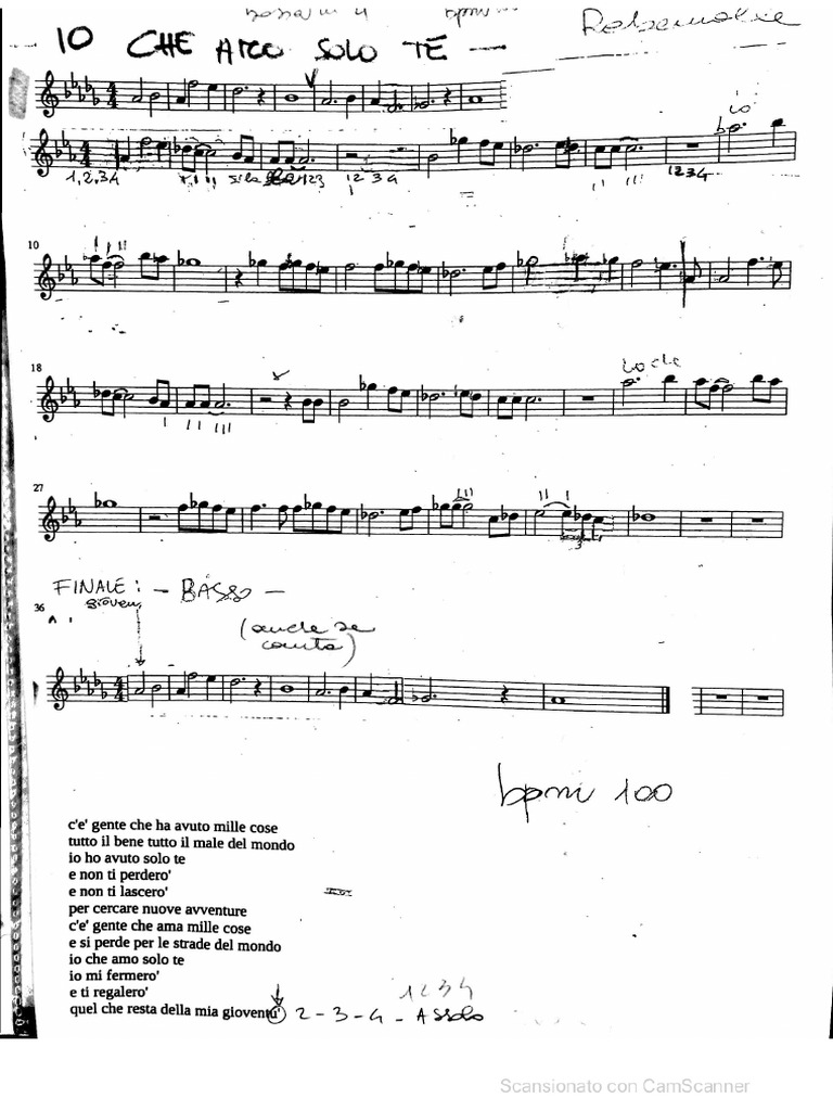 Io Che Amo Solo Te | PDF