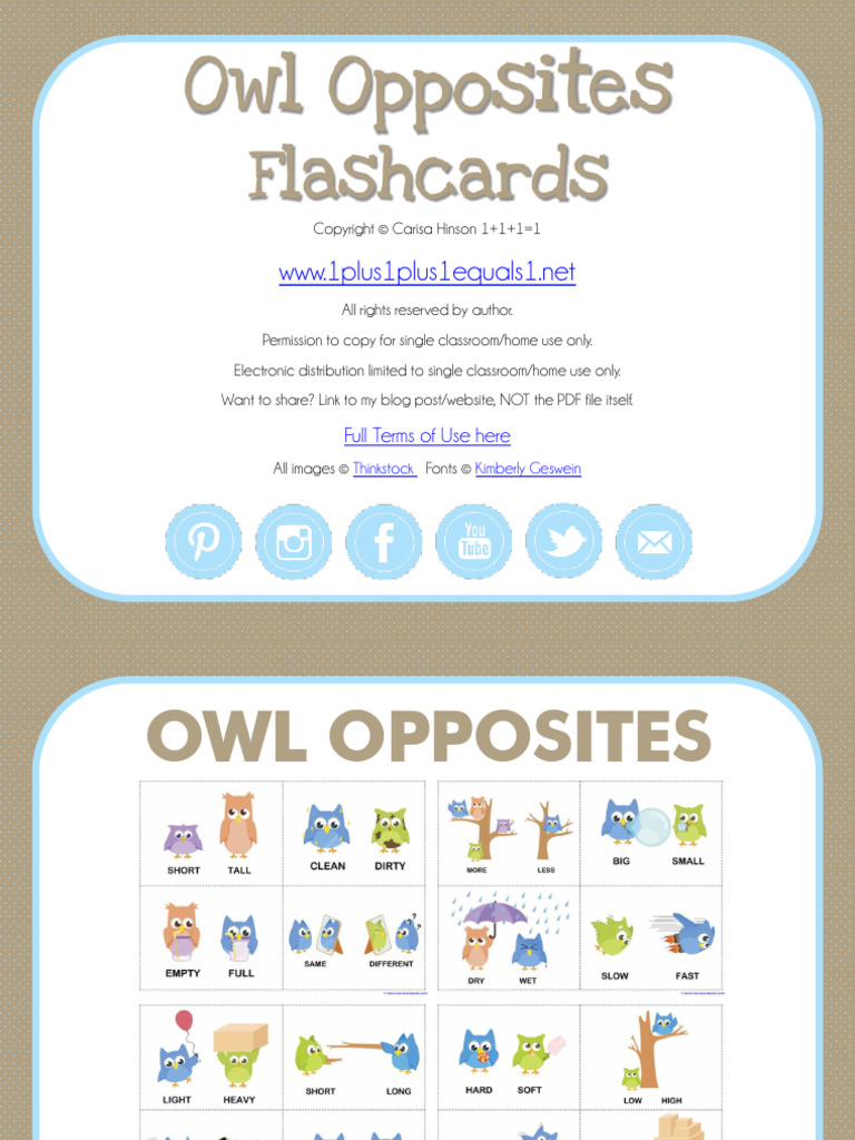 Owl Opposites Flashcards | PDF