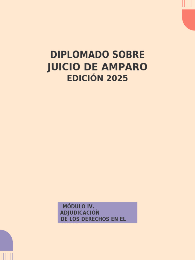 Metodologías de Adjudicación en Amparo | PDF | Justicia | Crimen y ...