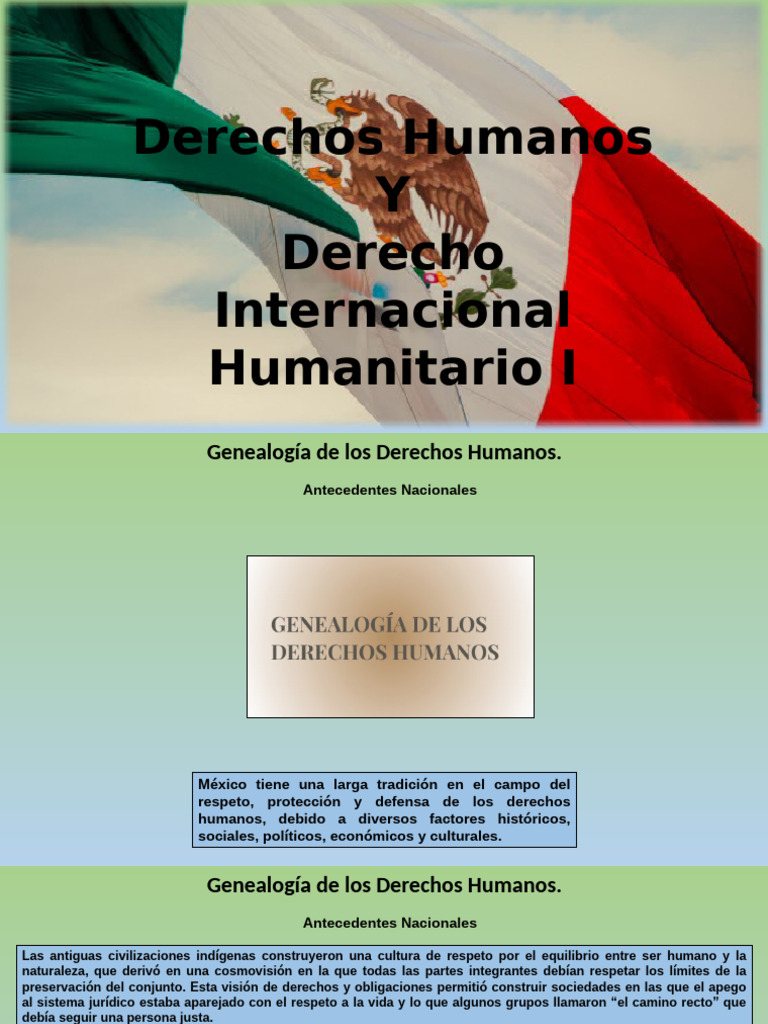 Segundos 1.1 | PDF | Derechos humanos | Ciencias Políticas