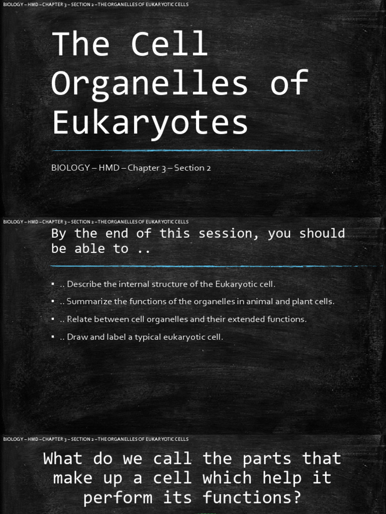 3.2 - The Eukaryotic Cell | PDF | Cell (Biology) | Organelle