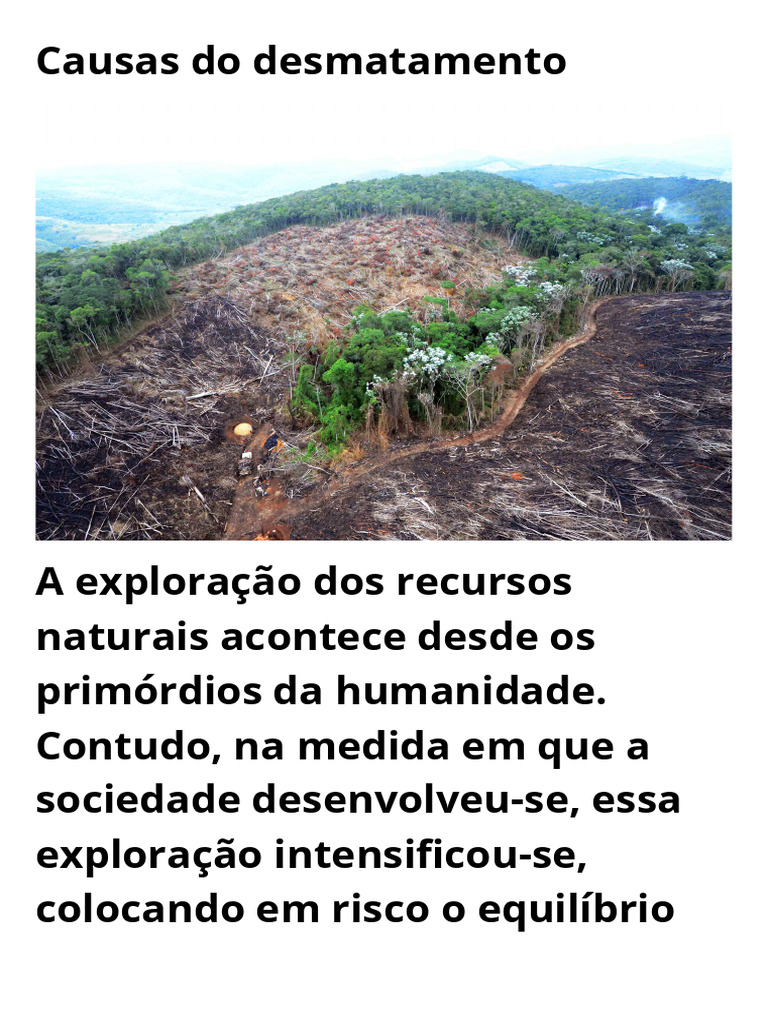 Causas do Desmatamento Global | PDF