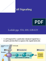 Cell Signaling: Lodish Pgs. 534, 600, 618-619