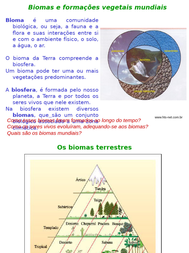 Biomas e Formações Vegetais do Mundo | PDF | Árvores | Mangue