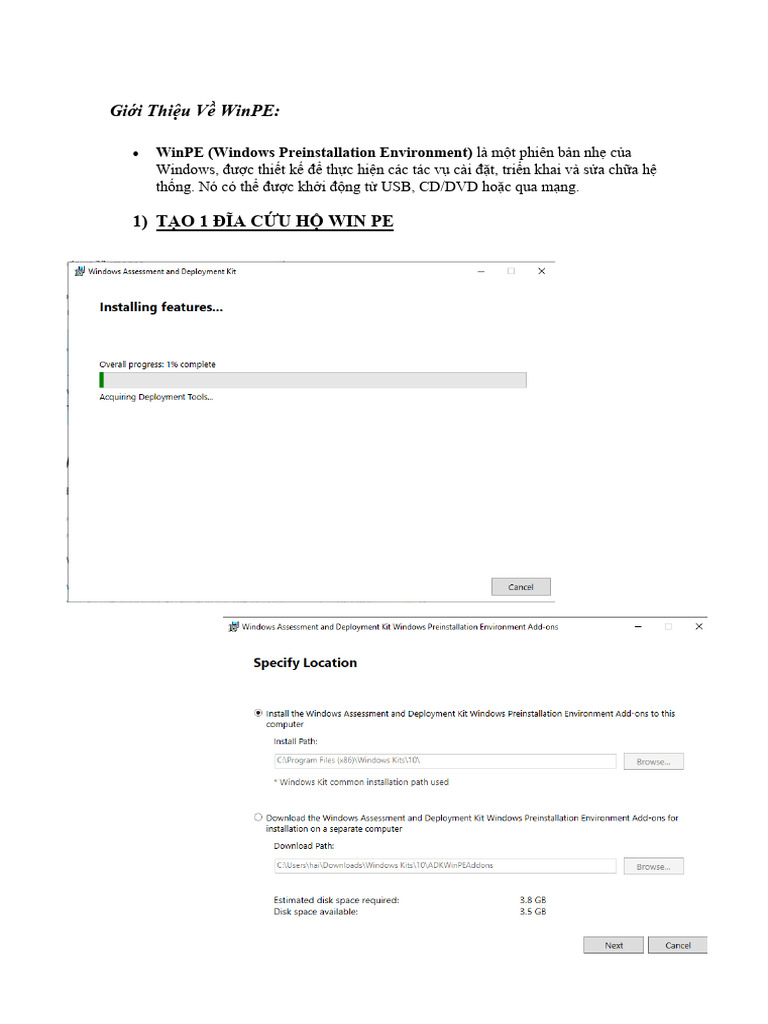 REPORT | PDF
