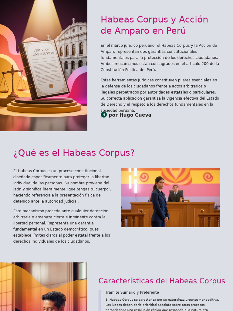 Habeas Corpus y Accion de Amparo en Peru | PDF | Habeas corpus ...