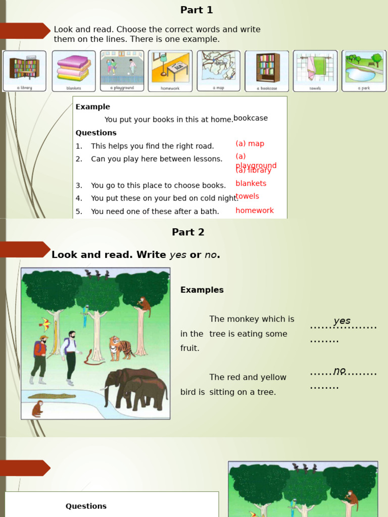 Mover - Reading Writing 1 | PDF | Dolphin