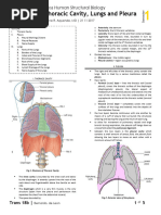 Surface Anatomy of Lungs | PDF