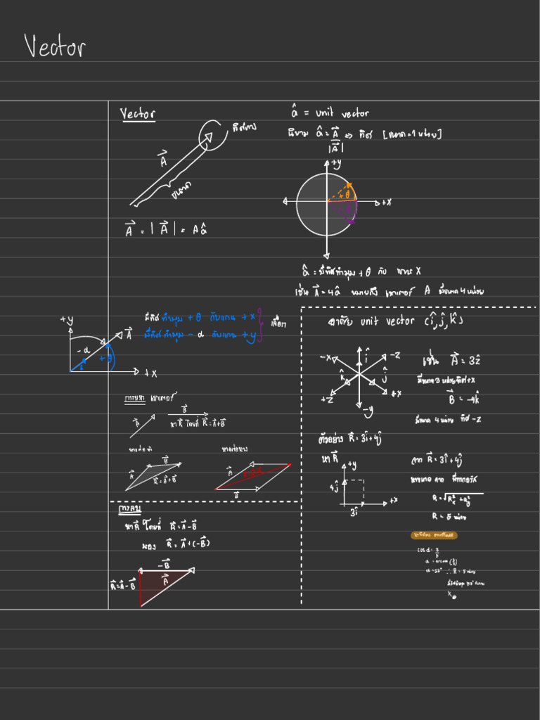 Vector | PDF