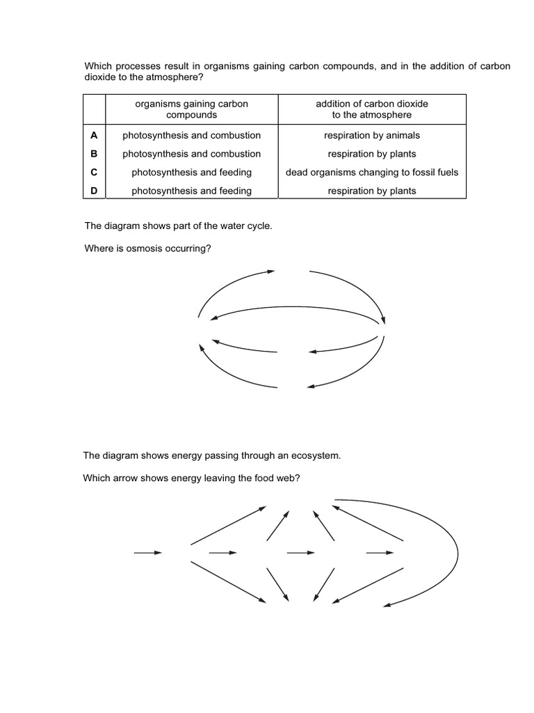 Assignment+ Organisms+and+Environment | PDF | Photosynthesis | Foods