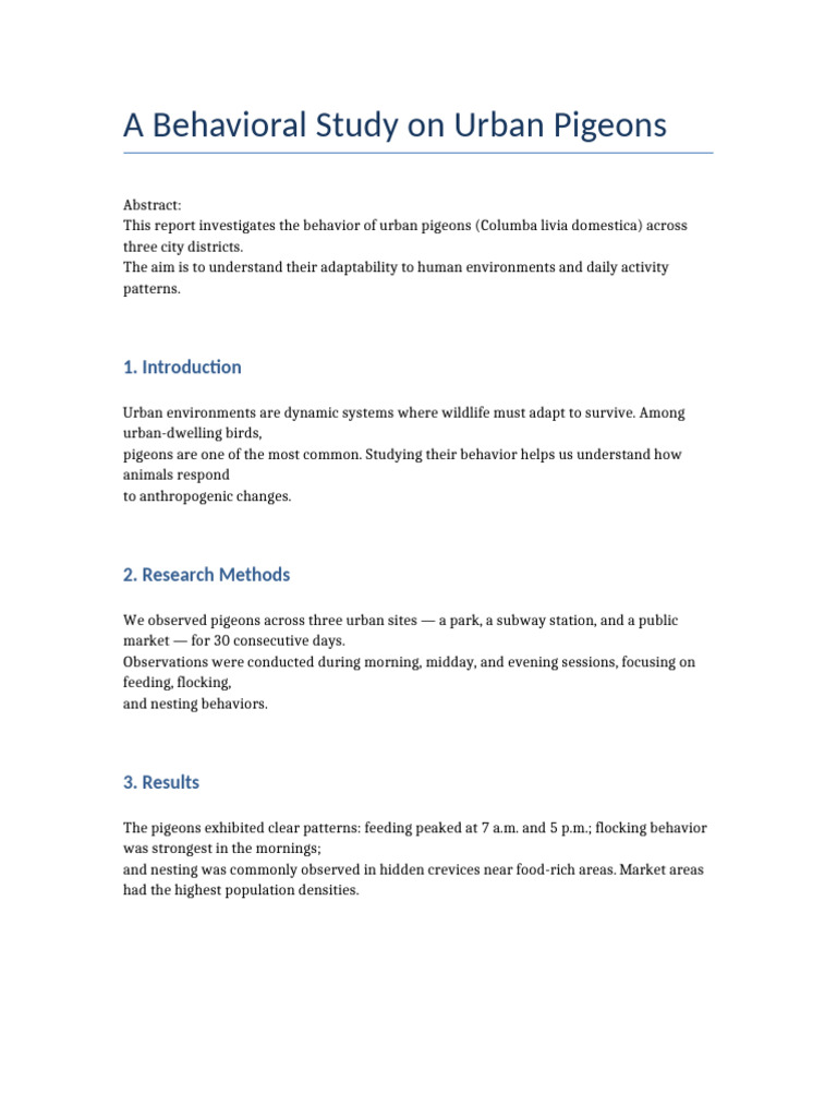 Urban Pigeon Behavior Study | PDF