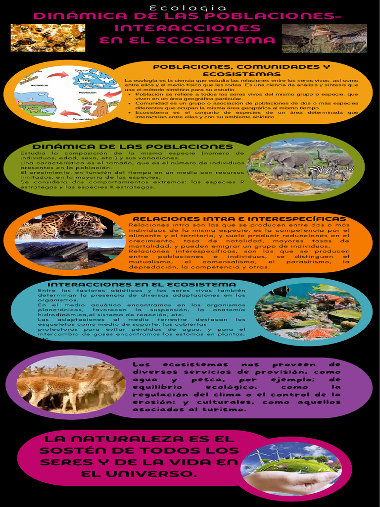 Dinamica de Las Poblaciones e Interacciones en El Ecosistema | PDF ...