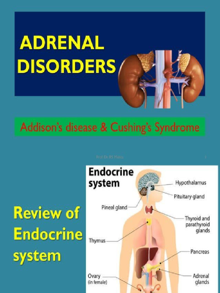 Adrenal Disorder | PDF