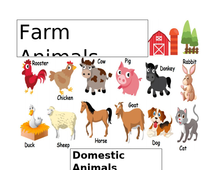 Farm Animals | PDF