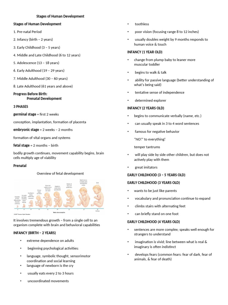 Human Development Stages Explained | PDF | Developmental Psychology ...