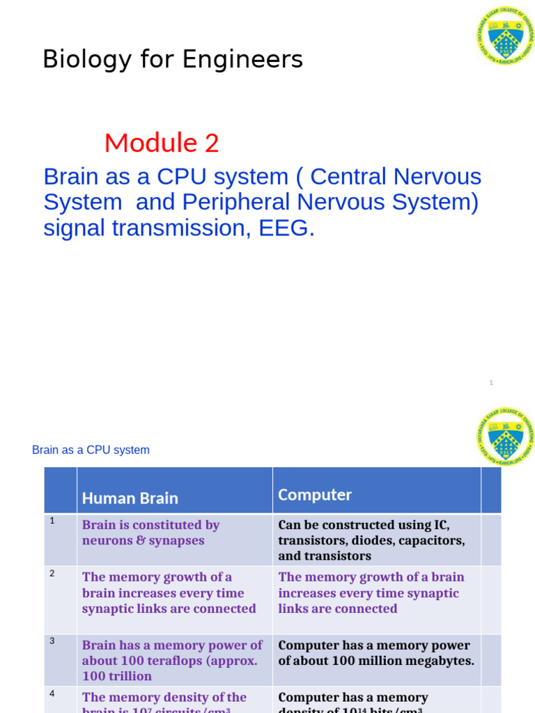 Brain as a CPU: Nervous System Insights | PDF | Electrocardiography | Heart