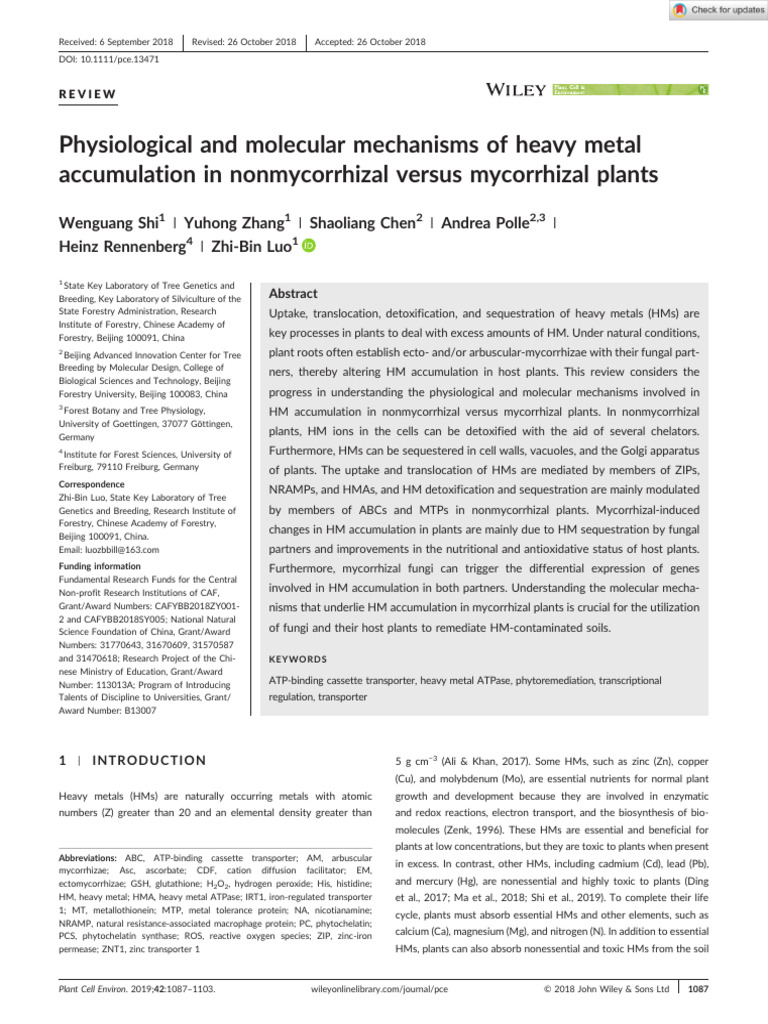Heavy Metal Accumulation in Plants | PDF | Root | Vacuole