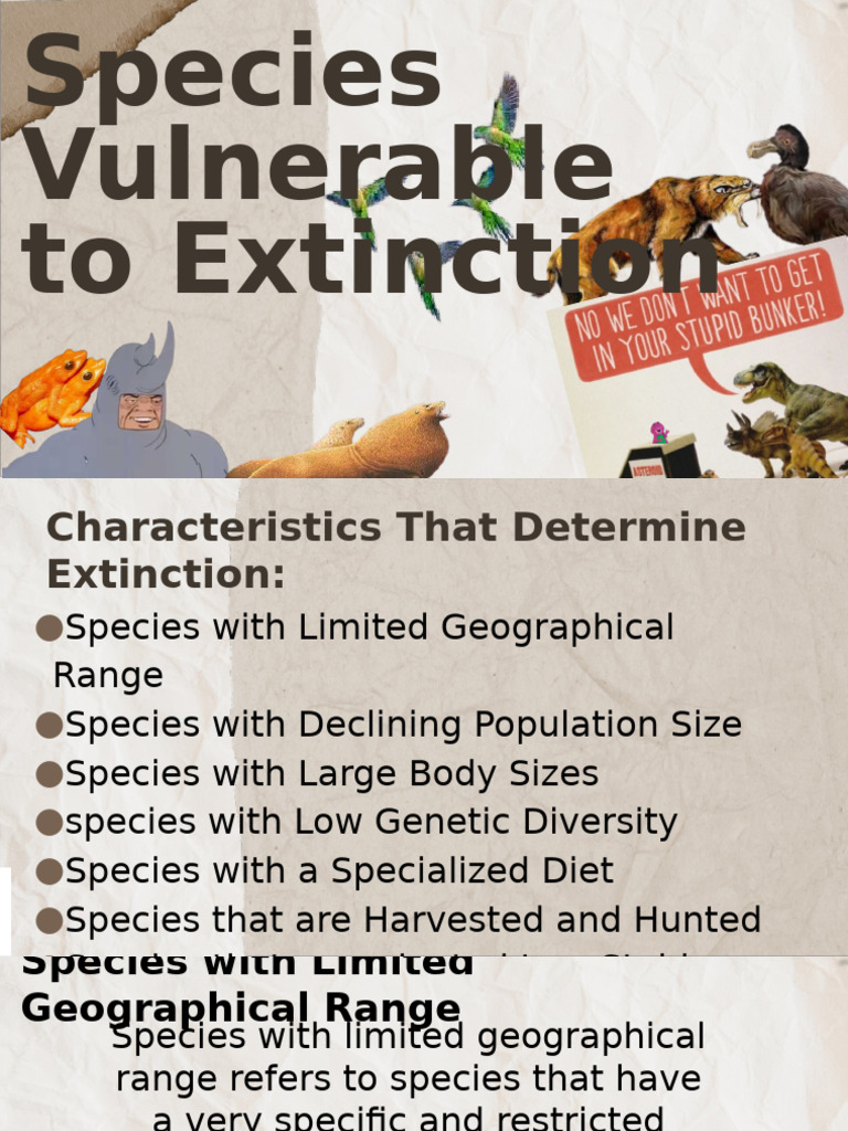 Rgoup 3 Speceis Vulnerable To Extinctino | PDF | Extinction | Species