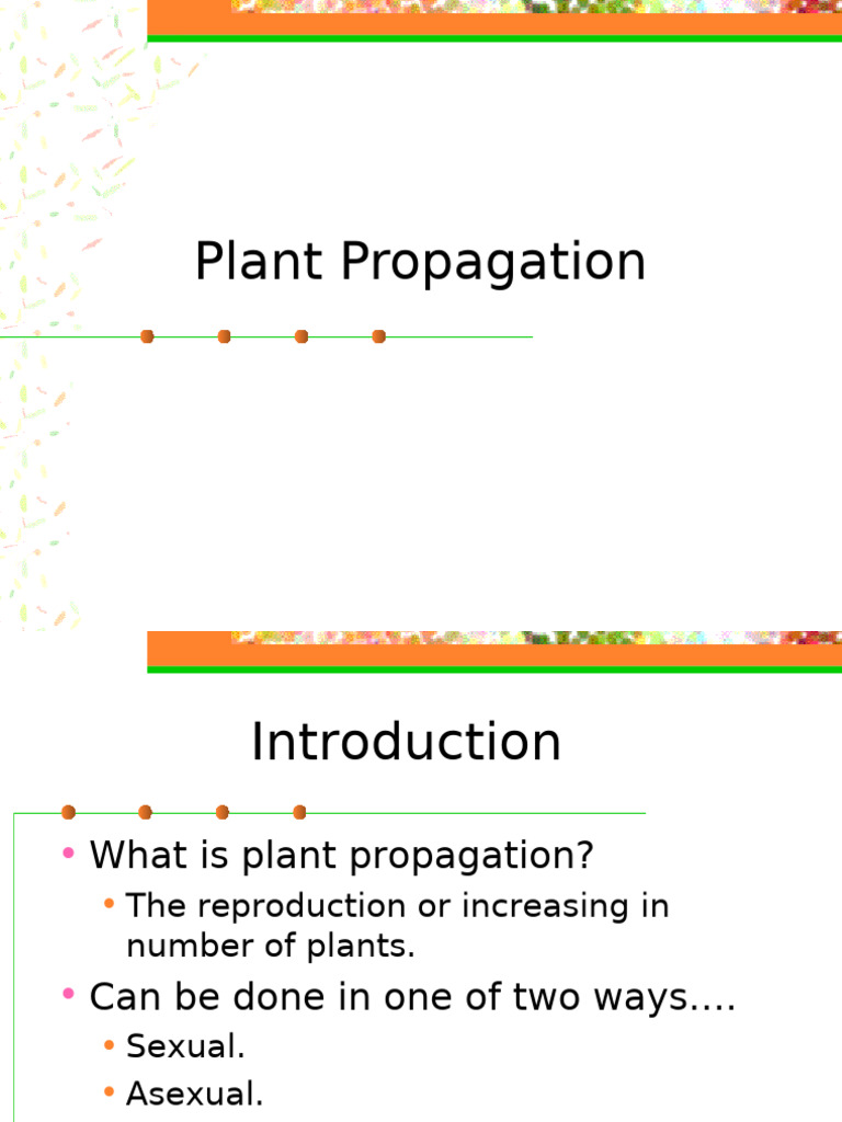 Plant Propagation Updated | PDF | Grafting | Seed
