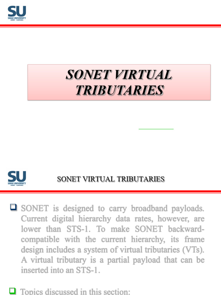 SONET Virtual Tributaries Explained | PDF | Electronics ...