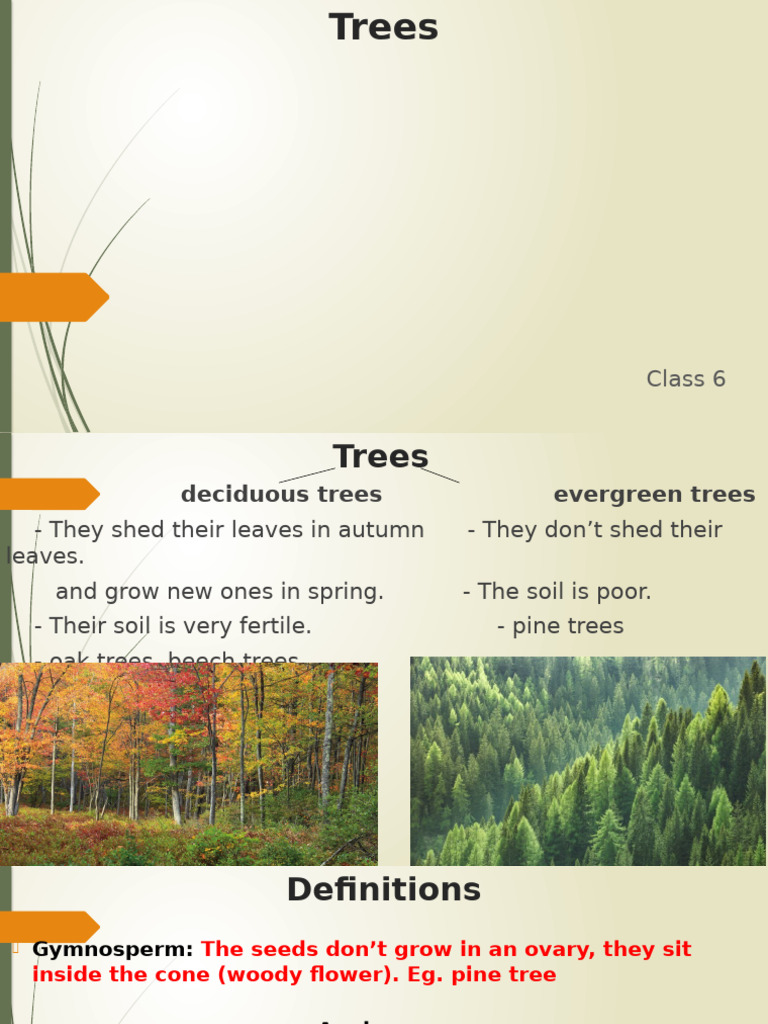 Types and Features of Trees | PDF