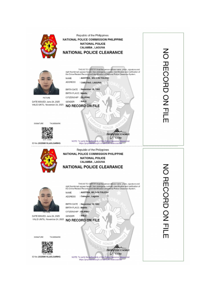 Austria NPC | PDF