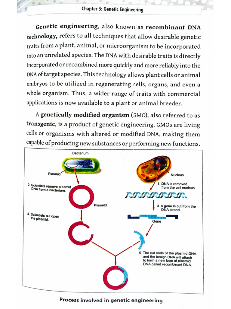 6 Genetic Engineering | PDF