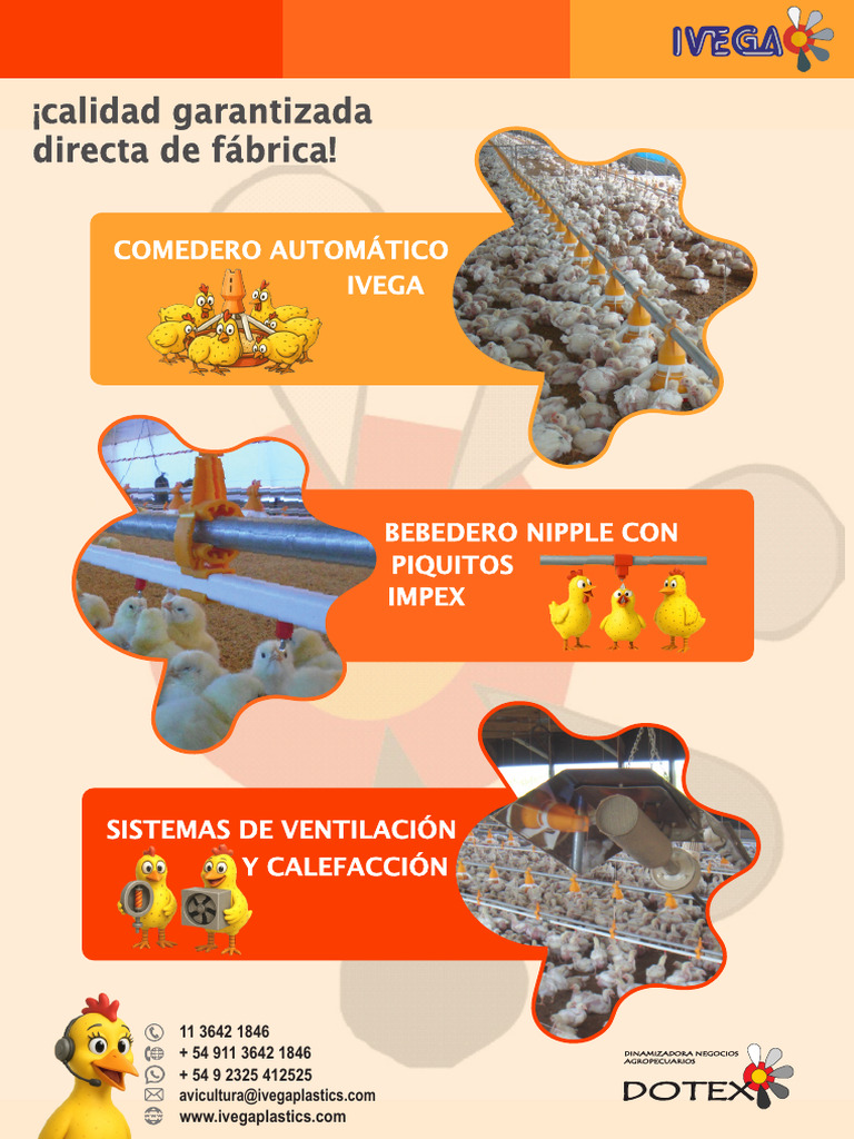 Folleto Ivega-Dotex Simple Ver2025 | PDF