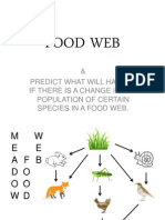 Food Web: & Predict What Will Happen If There Is A Change in The Population of Certain Species in A Food Web