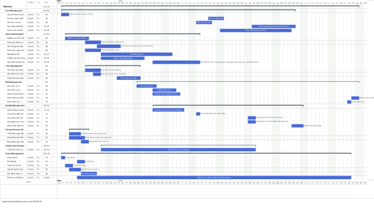Placker Gantt Export 202504202058 | PDF