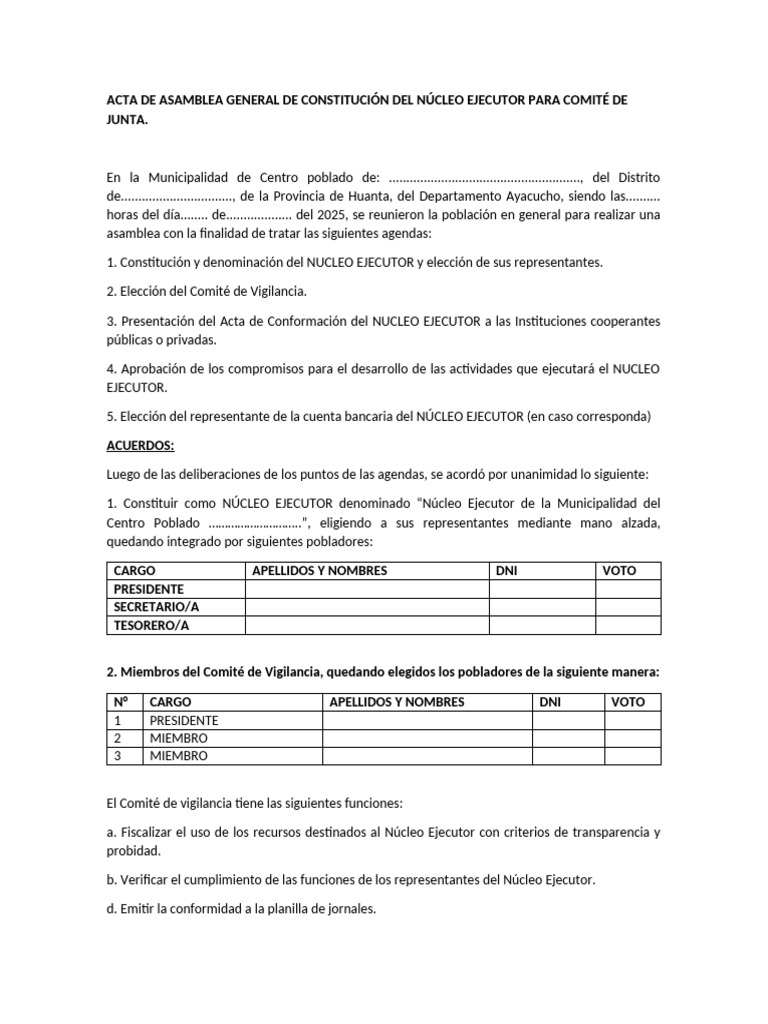 Acta de Constitución del Núcleo Ejecutor | PDF | Gobierno