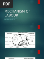 Mechanism of Labour in LOA Position | PDF | Pelvis | Anatomical Terms ...